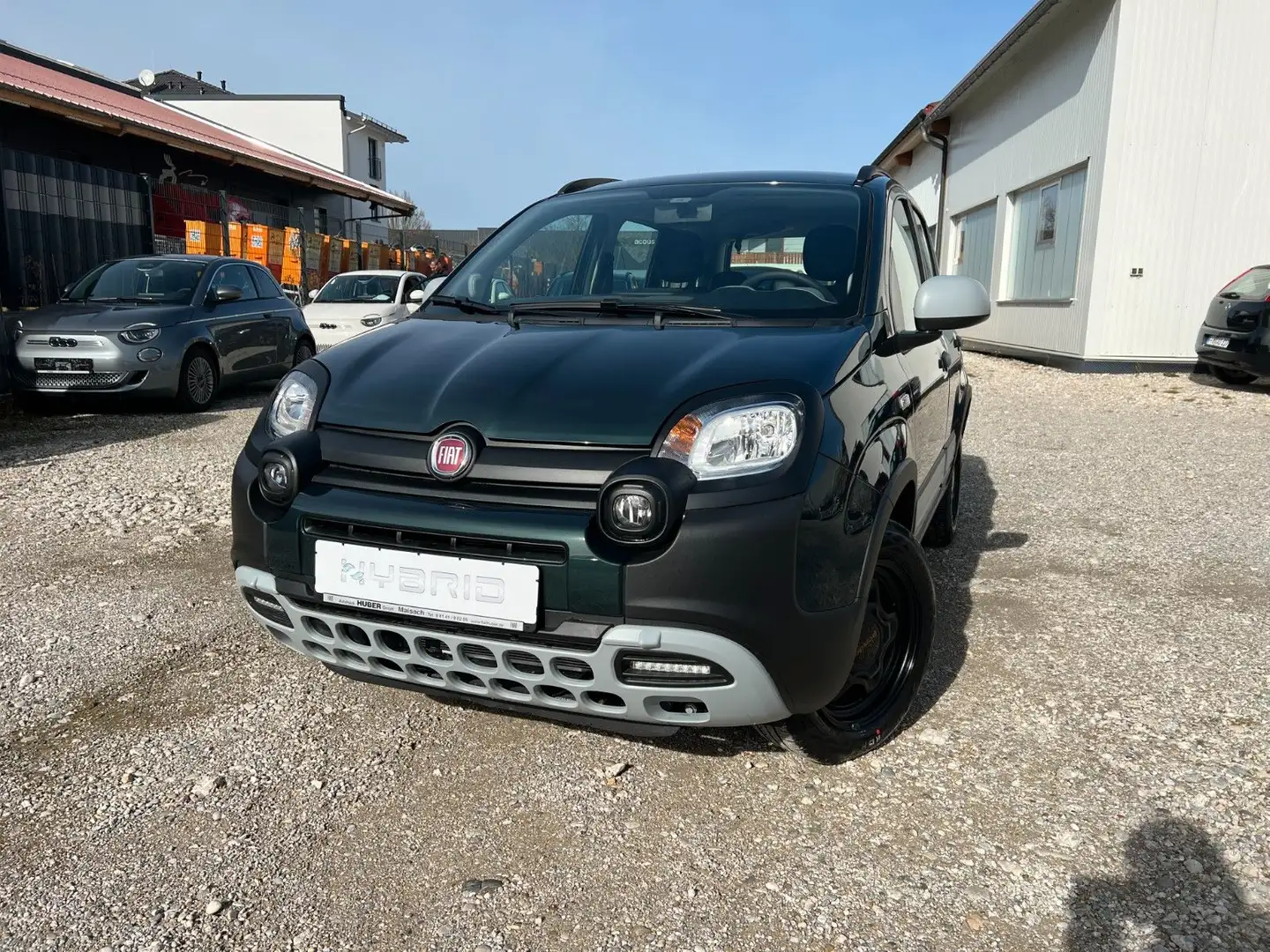 Fiat Panda Cross Hybrid GARMIN Sondermodell Carplay Groen - 1