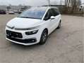 Citroen C4 SpaceTourer C4 Spacetourer  PureTech 130 Stop Biały - thumbnail 6