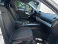 Audi A4 allroad A4 allroad 2.0 TDI 163 CV S tronic Business Evolut Weiß - thumbnail 8