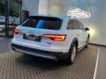 Audi A4 allroad A4 allroad 2.0 TDI 163 CV S tronic Business Evolut Weiß - thumbnail 12
