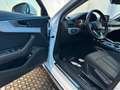 Audi A4 allroad A4 allroad 2.0 TDI 163 CV S tronic Business Evolut Weiß - thumbnail 10