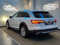 Audi A4 allroad A4 allroad 2.0 TDI 163 CV S tronic Business Evolut Weiß - thumbnail 11