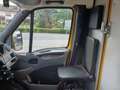 Iveco Daily DHL Koffer Jaune - thumbnail 4