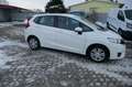 Honda Jazz 1.3 i-VTEC Trend SHZ KLIMA Weiß - thumbnail 5