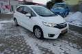 Honda Jazz 1.3 i-VTEC Trend SHZ KLIMA Weiß - thumbnail 3