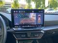 CUPRA Leon Leon 2.0 tdi 150cv dsg Bianco - thumbnail 13