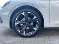 CUPRA Leon Leon 2.0 tdi 150cv dsg Bianco - thumbnail 7