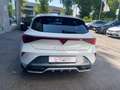 CUPRA Leon Leon 2.0 tdi 150cv dsg Bianco - thumbnail 6