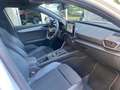 CUPRA Leon Leon 2.0 tdi 150cv dsg Bianco - thumbnail 11
