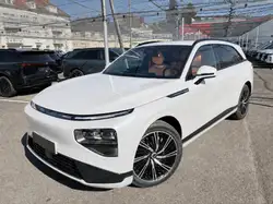 Xpeng G9 575 AWD PERFORMANCE 93.1 KWH CUIR TERRE BATTUE