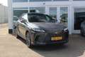 Lexus RX 450h 450h+ Plug-in Hybrid Luxury Line I Panoramadak I T Gris - thumbnail 18