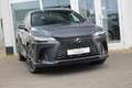 Lexus RX 450h 450h+ Plug-in Hybrid Luxury Line I Panoramadak I T Gris - thumbnail 13