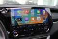 Lexus RX 450h 450h+ Plug-in Hybrid Luxury Line I Panoramadak I T Gris - thumbnail 10