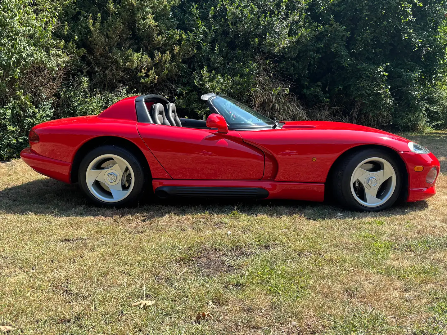 Dodge Viper 8.0i V10 1994 EU SPEC - 2