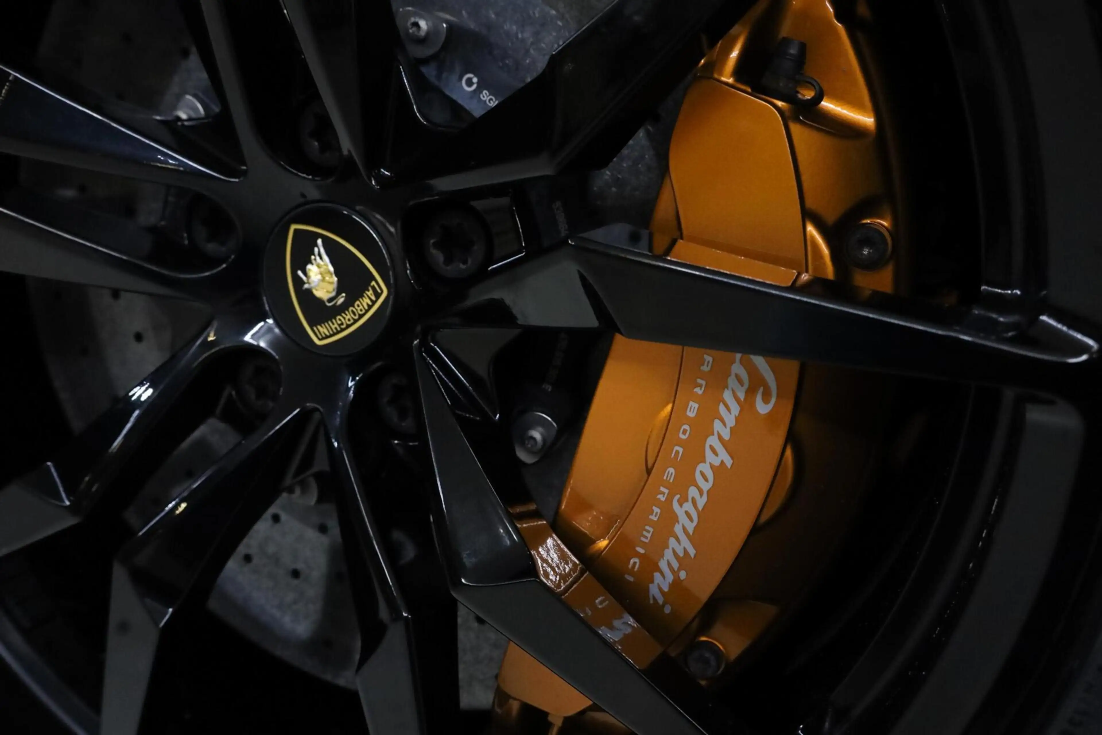 Lamborghini Aventador Roadster LP700-4|PPF|Novitec|Lift| — photo 21