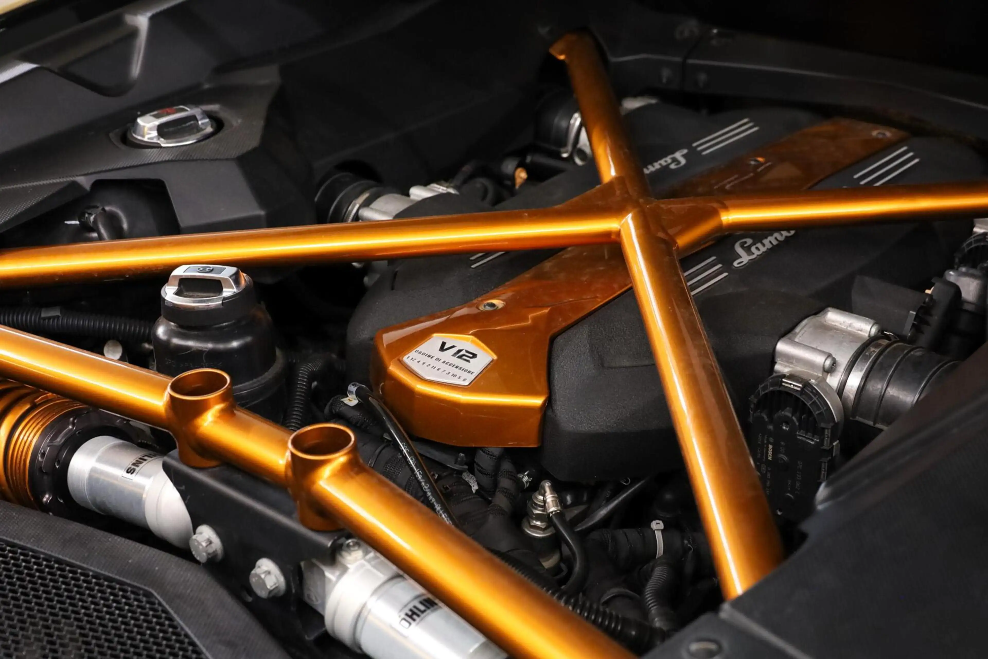Lamborghini Aventador Roadster LP700-4|PPF|Novitec|Lift| — photo 13