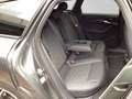 Audi Q LM21 SITZKLIMA BuO Gris - thumbnail 6