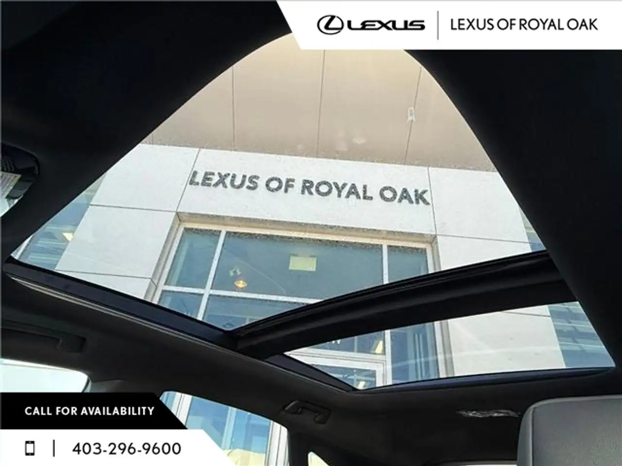 Lexus RX fotografie Lexus RX