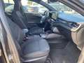 Ford Focus ST-Line X 5d 1.0i 155PK M6: Cruise control, carpl Gris - thumbnail 9