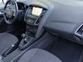 Ford Focus Focus IV  5p 1.5 tdci Titanium Nero - thumbnail 10
