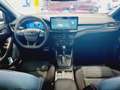 Ford Focus 1.0 Ecoboost MHEV ST-Line X 155 Aut. Rojo - thumbnail 10