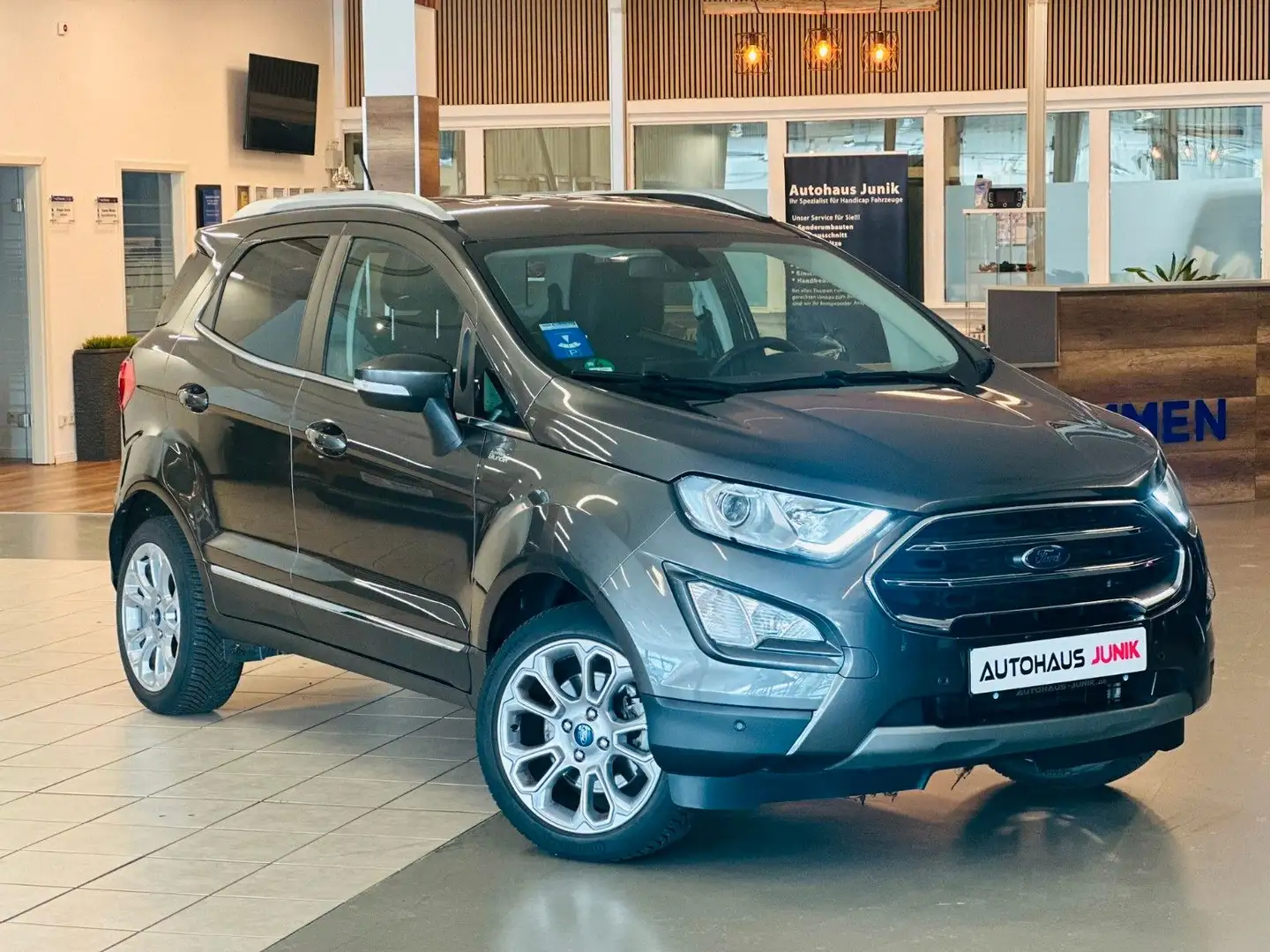 Ford EcoSport Navi-LED-Kamera-TOP Šedá - 1