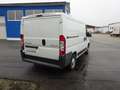 Peugeot Boxer HDi 1. Hd AHK Winterreifen neu nur 93700km Weiß - thumbnail 6