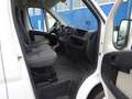 Peugeot Boxer HDi 1. Hd AHK Winterreifen neu nur 93700km Weiß - thumbnail 10