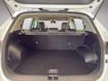 Kia Sportage Gold 1.6 CRDI 4WD Blanc - thumbnail 20