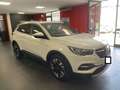 Opel Grandland X 2.0 ecotec Innovation AT8  pari al nuovo garanzia! Wit - thumbnail 3