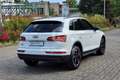 Audi Q5 Q5 35 TDI quattro S tronic Business Wit - thumbnail 5