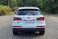 Audi Q5 Q5 35 TDI quattro S tronic Business Wit - thumbnail 6