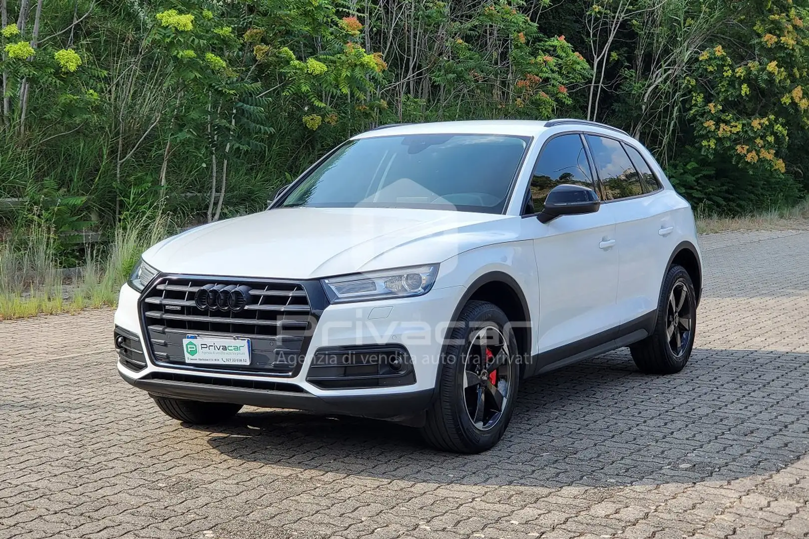 Audi Q5 Q5 35 TDI quattro S tronic Business Wit - 1