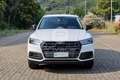 Audi Q5 Q5 35 TDI quattro S tronic Business Wit - thumbnail 2