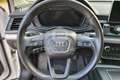 Audi Q5 Q5 35 TDI quattro S tronic Business Wit - thumbnail 11
