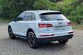 Audi Q5 Q5 35 TDI quattro S tronic Business Wit - thumbnail 7