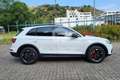 Audi Q5 Q5 35 TDI quattro S tronic Business Wit - thumbnail 4