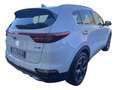 Kia Sportage 1.6 CRDI 136 CV DCT7 4WD Mild Hybrid GT Line Bianco - thumbnail 4