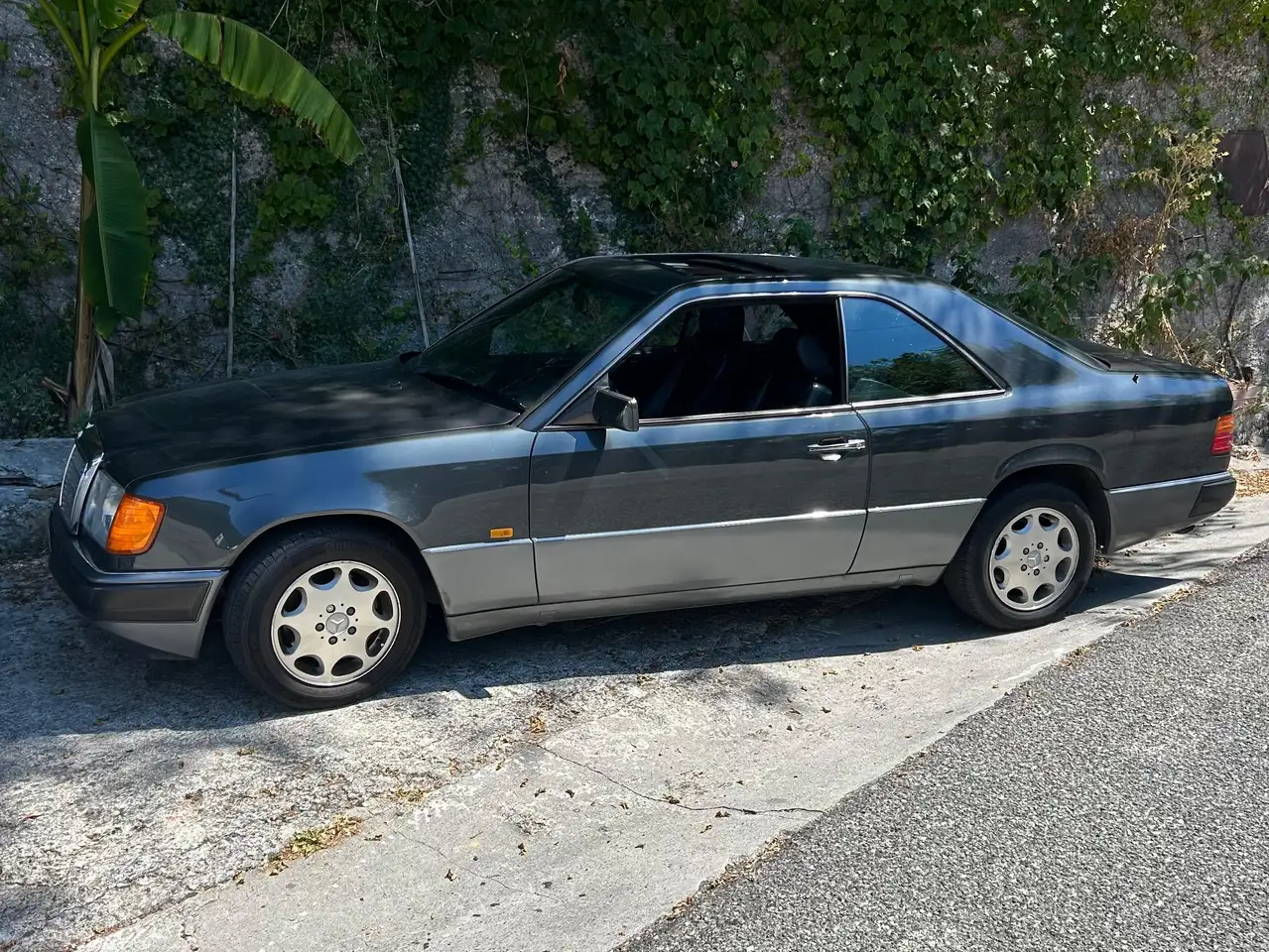 Mercedes-Benz CE 300 24, foto 8