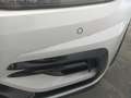 Volkswagen Golf 7ª serie R 2.0 TSI DSG 4MOTION 5p. BMT Bianco - thumbnail 9