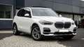 BMW X5 xDrive30d | G05 | BMW Individual | Vollausstattung Weiß - thumbnail 2