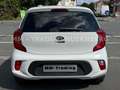 Kia Picanto PICANTO 1.2 DREAM-TEAM-KLIMA-NAVI-5TÜRIG-1.HAND Blanc - thumbnail 6