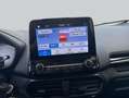 Ford EcoSport ECOSPORT 1.0 EcoBoost TITANIUM Albastru - thumbnail 13