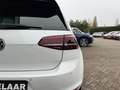 Volkswagen Golf GTI Golf 2.0 TSI GTI Clubsport Wit - thumbnail 38