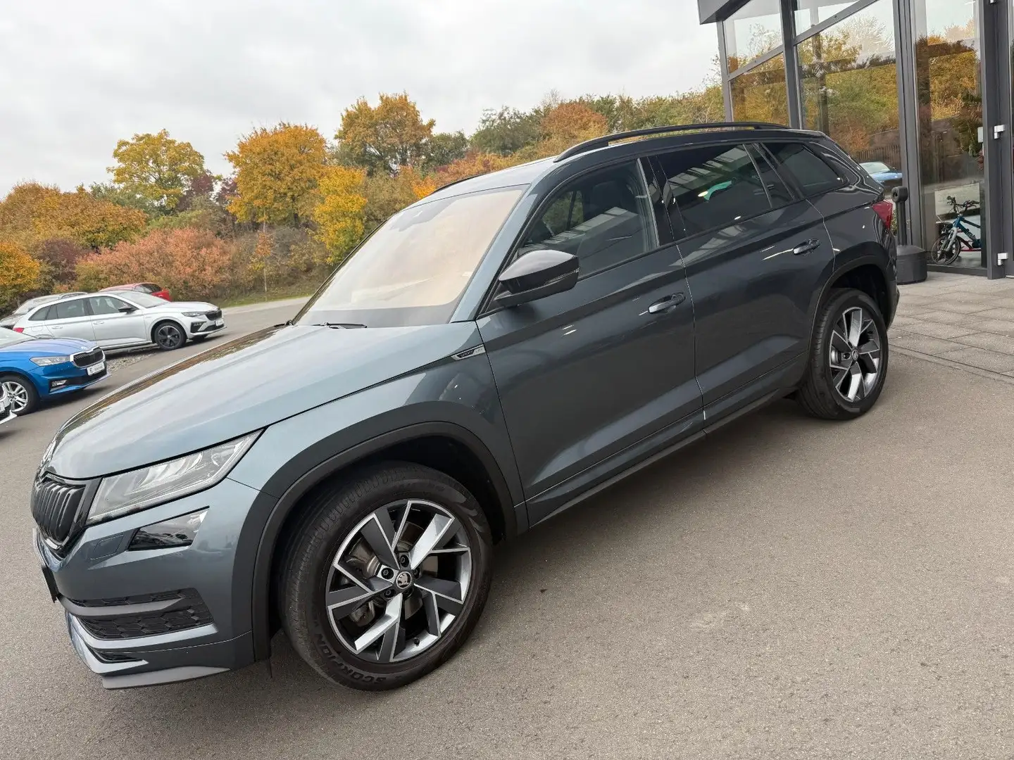 Skoda Kodiaq 2.0 TDI Sportline 4x4 Pano AHK 360° LED Gris - 1