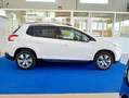 Peugeot 2008 1.2 82cv ALLURE TETTO PANORAMICO UNIPROPR Wit - thumbnail 4