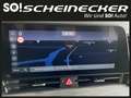 Kia Sportage 1,6 CRDI Silber (SONDERPREIS) Wit - thumbnail 20