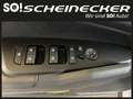 Kia Sportage 1,6 CRDI Silber (SONDERPREIS) Wit - thumbnail 13