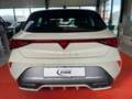 CUPRA Leon 1.5 eTSI  DSG *PANO*MATRIX*ACC*CAM*NAVI* Gris - thumbnail 5
