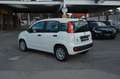 Fiat Panda Urban 1.0 Hybrid-Elektro"KLIMA"PDC"DAB" Weiß - thumbnail 6